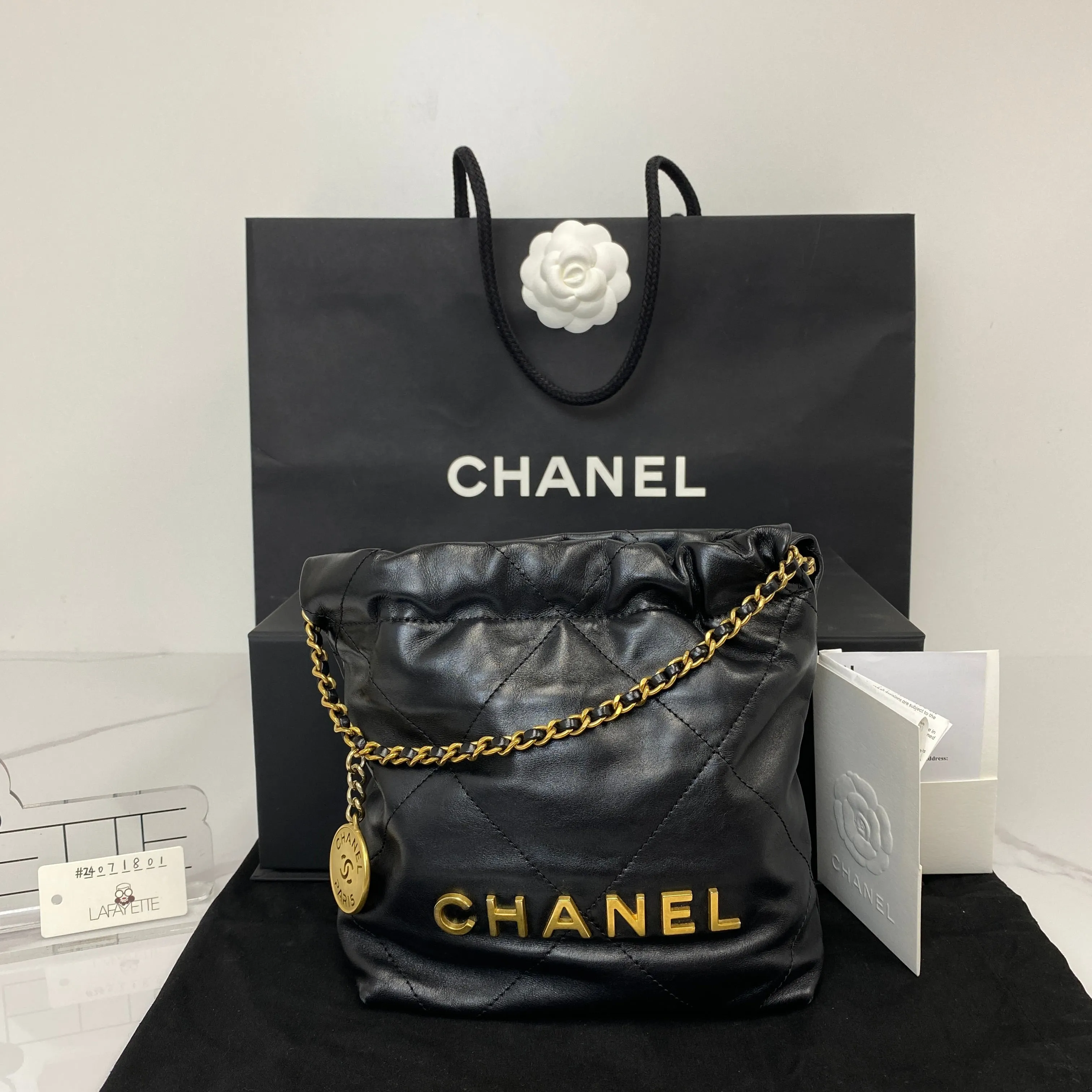 Chanel Mini 22 Bag