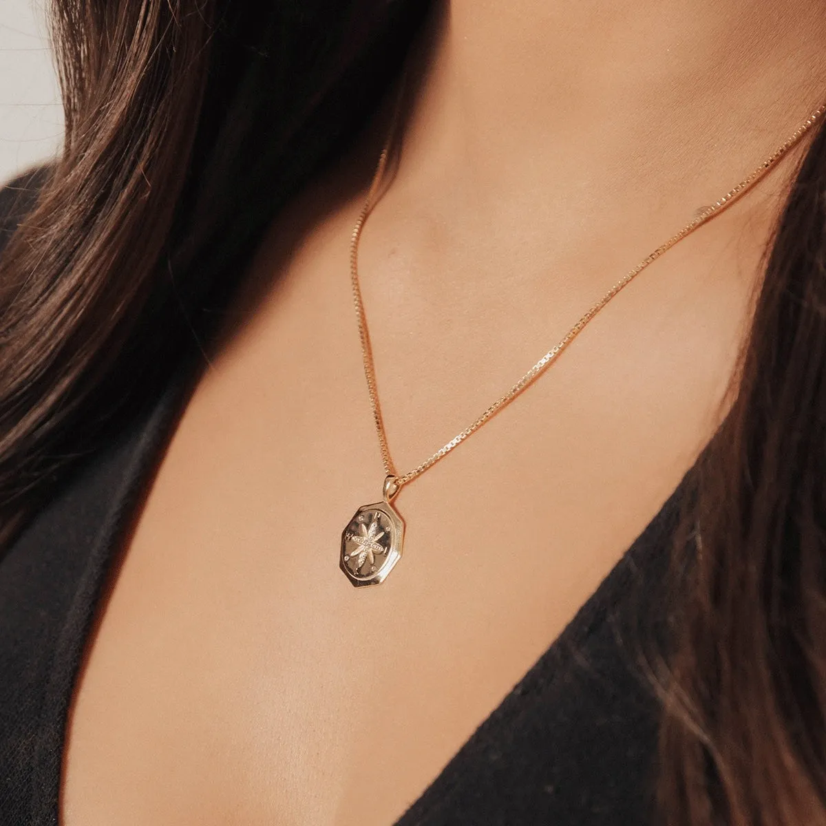 True North Compass Pendant with CZ Accents (Gold)